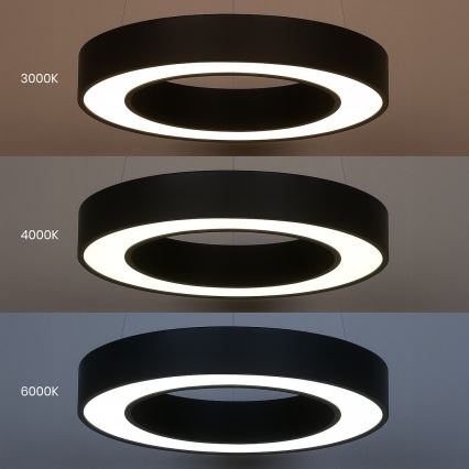 LED lustra uz stieples UNION LED/40W/230V 3000/4000/6500K Ø 40 cm melna