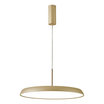 LED lustra uz troses ART LED/41W/230V zelta