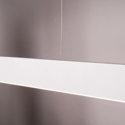 LED lustra uz troses BERNADETTA LED/20W/230V 4000K balta