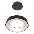 LED lustra uz troses DRAX LED/32W/230V 4000K diam. 38 cm melna