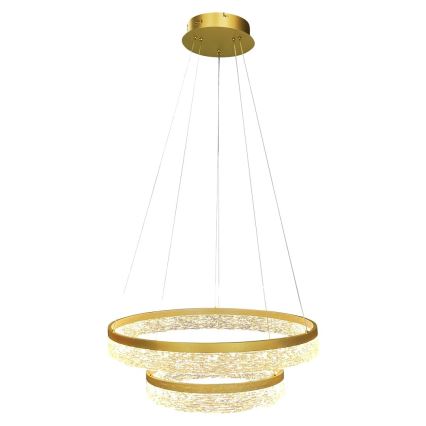 LED lustra uz troses GALA LED/54W/230V Ø 60 cm zeltaina