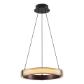 LED lustra uz troses JESI LED/2W/230V 3000K brūna