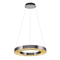 LED lustra uz troses JESI LED/35W/230V 3000K Ø 60 cm sudraba