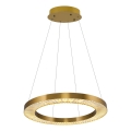 LED lustra uz troses JESI LED/85W/230V 3000K Ø 80 cm bronzas krāsā