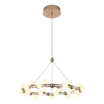 LED lustra uz troses MARS LED/50W/230V 3000K zeltaina