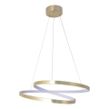LED lustra uz troses ZEFIRA LED/40W/230V 4000K Ø 50 cm zeltaina