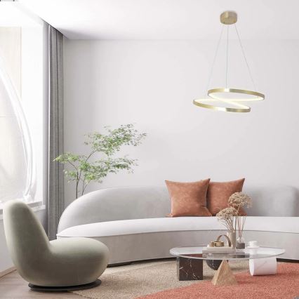 LED lustra uz troses ZEFIRA LED/40W/230V 4000K Ø 50 cm zeltaina