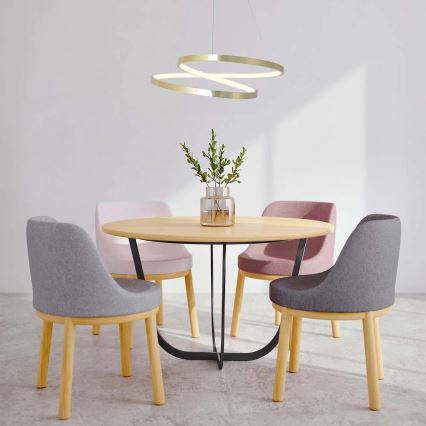 LED lustra uz troses ZEFIRA LED/40W/230V 4000K Ø 50 cm zeltaina