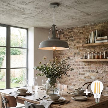 LED pakaramā lampa ar vadu RYAN 1xE27/60W/230V pelēka