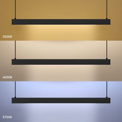 LED pakaramā lustra uz kabeļa LINEA LED/36W/230V 3000/4000/5700K CRI 90 melna