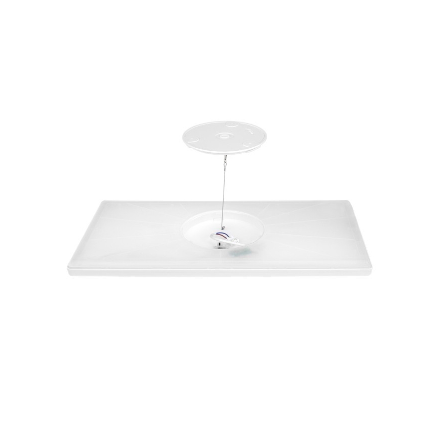 LED Virsmas panelis NIVERA LED/32W/230V IP54 3000/4000/6000K 29,5x59,5 cm balts