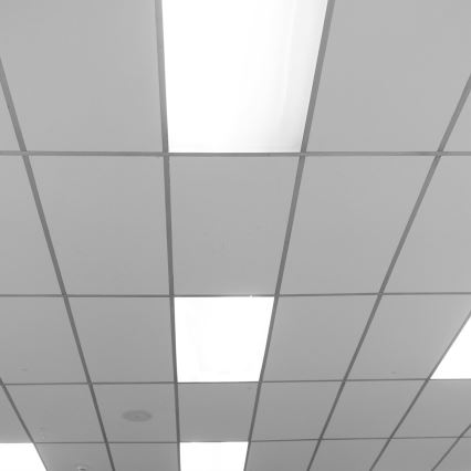 LED Panelis LED/48W/230V 4000K 120x30 cm