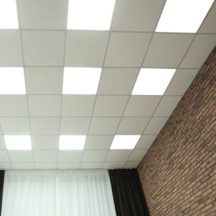 LED Panelis LED/48W/230V 4000K 60x60 cm