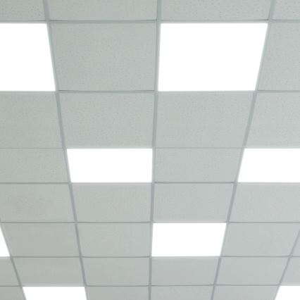 LED Panelis LED/48W/230V 4000K 60x60 cm
