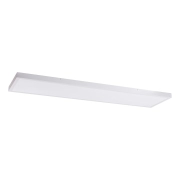 LED Panelis LED/60W/230V 4000K 30x120 cm balta