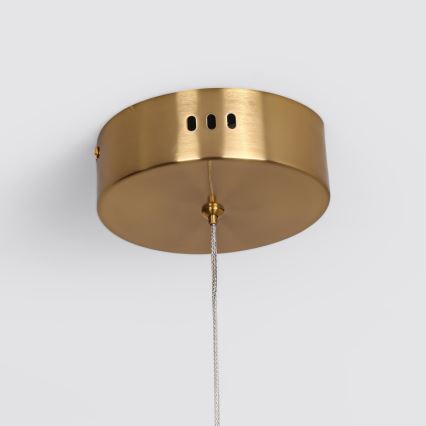 LED piekaramā lustra uz troses MELECA LED/36W/230V 3000/4000/6000K 160 cm zeltaina