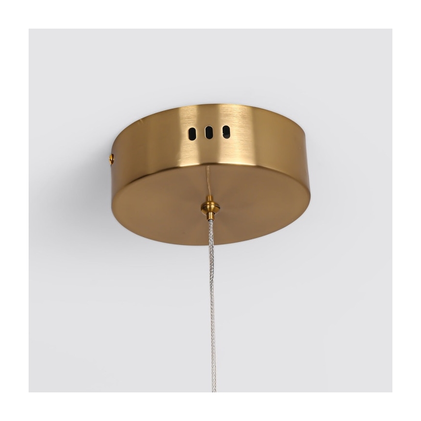 LED piekaramā lustra uz troses MELECA LED/36W/230V 3000/4000/6000K 160 cm zeltaina