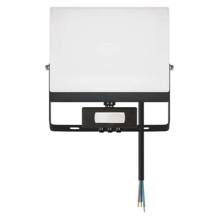 LED prožektors ar kustības un krēslas sensoru TAMBO EVO LED/50W/230V 4000K IP44, melns