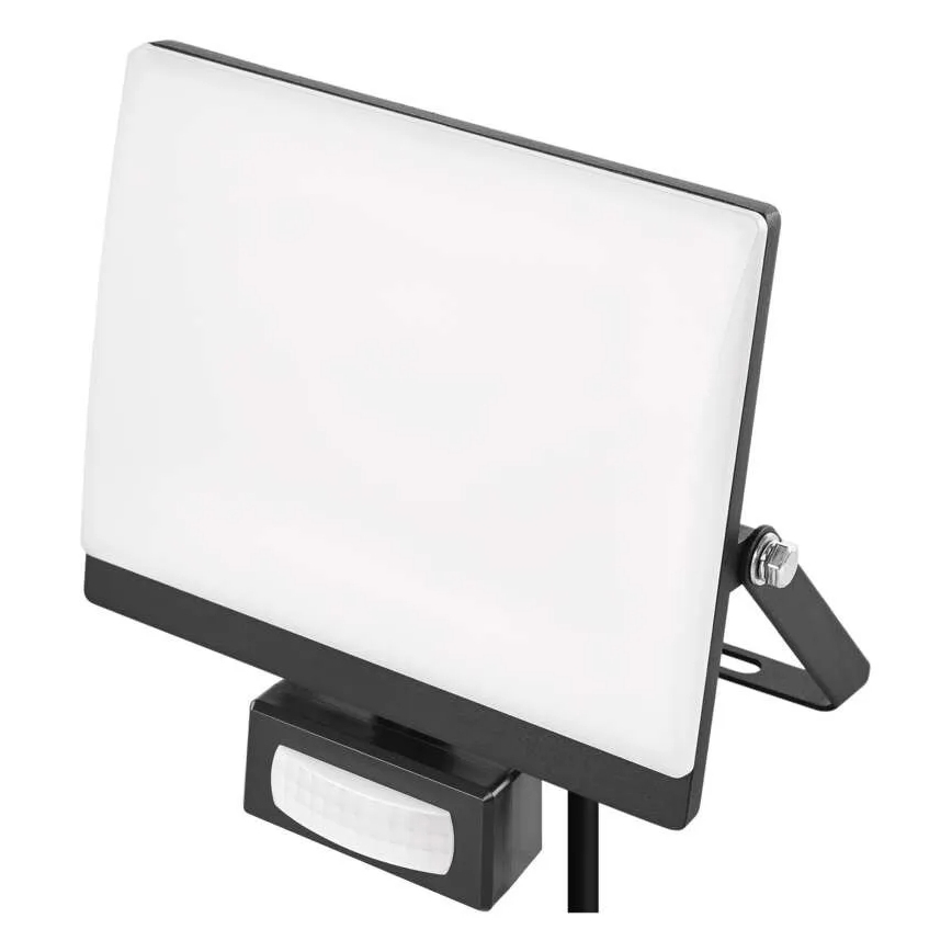 LED prožektors ar kustības un krēslas sensoru TAMBO EVO LED/30W/230V 4000K IP44 melns