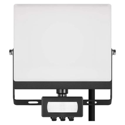 LED prožektors ar kustības un krēslas sensoru TAMBO EVO LED/30W/230V 4000K IP44 melns