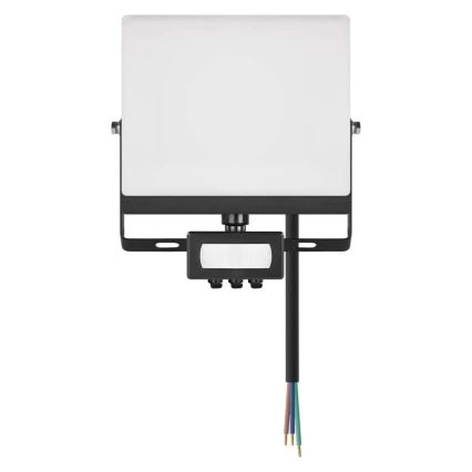 LED prožektors ar kustības un krēslas sensoru TAMBO EVO LED/30W/230V 4000K IP44 melns