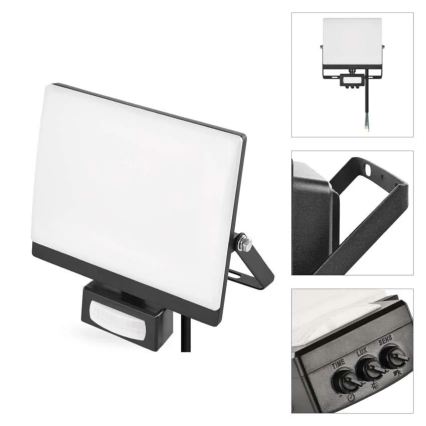 LED prožektors ar kustības un krēslas sensoru TAMBO EVO LED/30W/230V 4000K IP44 melns