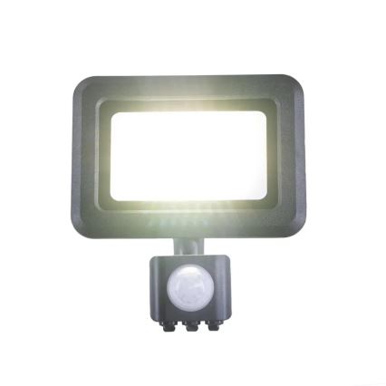 LED Prožektors ar sensoru LED/20W/230V 4000K IP44