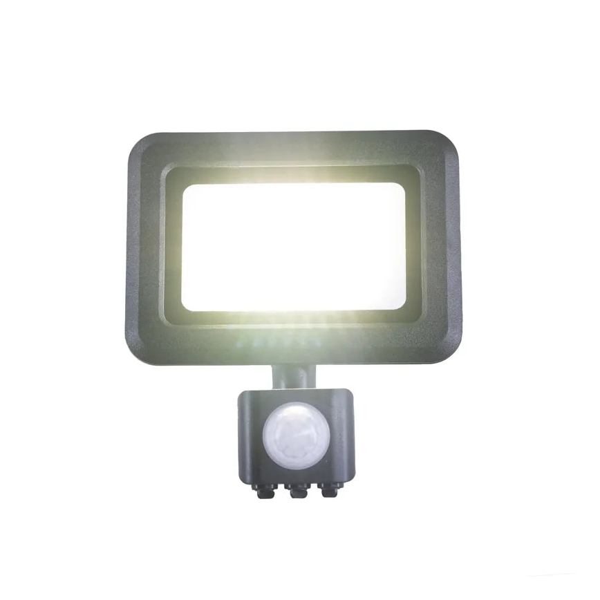 LED Prožektors ar sensoru LED/20W/230V 4000K IP44