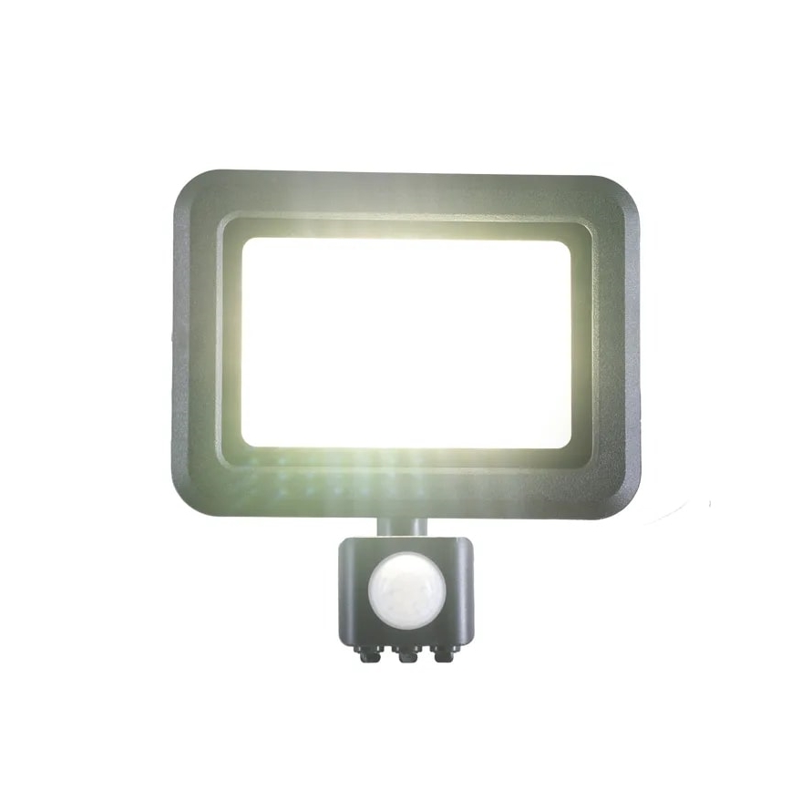 LED Prožektors ar sensoru LED/30W/230V 4000K IP44