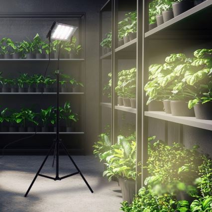 LED Prožektors ar statīvu augu audzēšanai FIRON LED/45W/230V IP54 melna