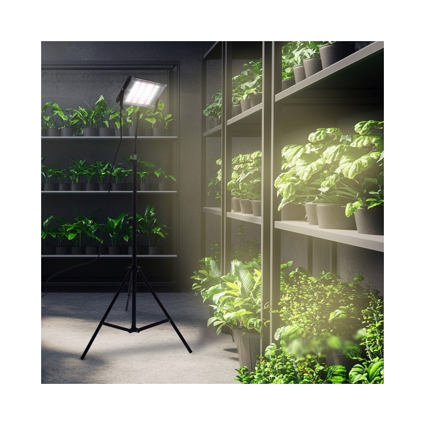 LED Prožektors ar statīvu augu audzēšanai FIRON LED/45W/230V IP54 melna