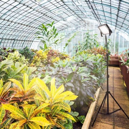 LED Prožektors ar statīvu augu audzēšanai FIRON LED/45W/230V IP54 melna