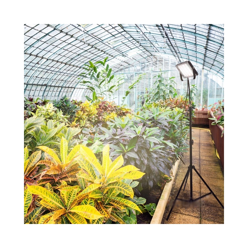 LED Prožektors ar statīvu augu audzēšanai FIRON LED/45W/230V IP54 melna