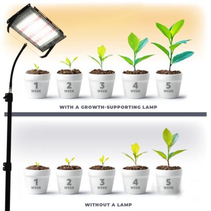 LED Prožektors ar statīvu augu audzēšanai FIRON LED/45W/230V IP54 melna