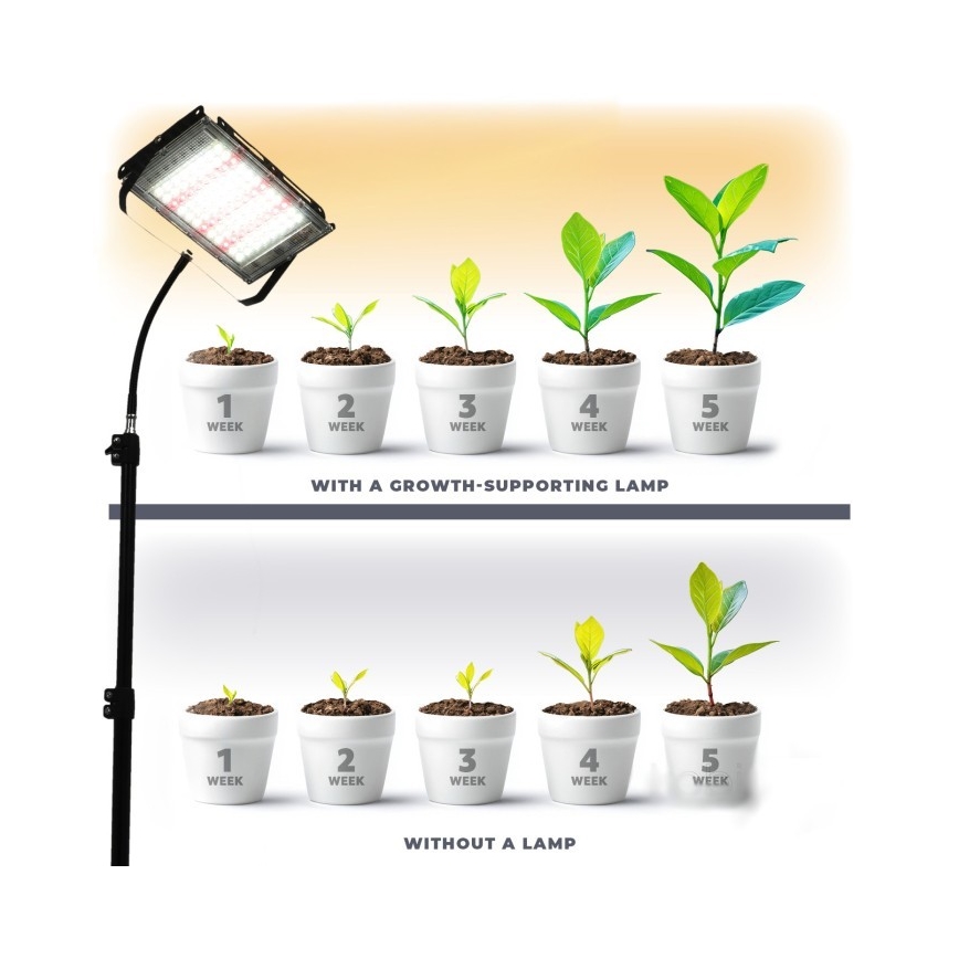 LED Prožektors ar statīvu augu audzēšanai FIRON LED/45W/230V IP54 melna