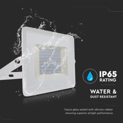 LED Prožektors LED/100W/230V 6500K IP65 balta