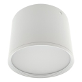 LED prožektors LED/10W/230V 3000/4000/6400K Ø 12 cm balts