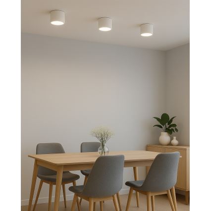 LED prožektors LED/10W/230V 3000/4000/6400K Ø 12 cm balts