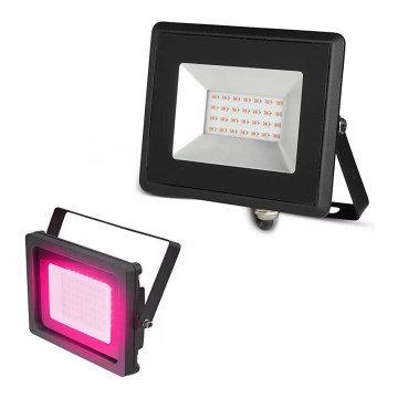 LED Prožektors LED/20W/230V IP65 rozā lampa