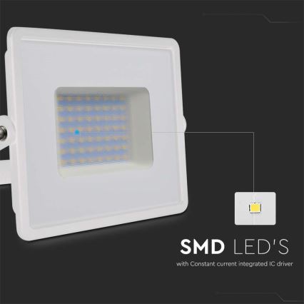 LED Prožektors LED/50W/230V 6500K IP65 balta