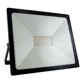 LED Prožektors LED/50W/230V IP65