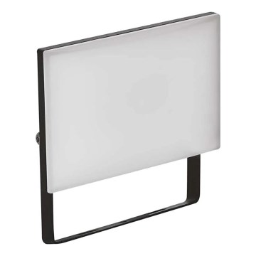 LED Prožektors TAMBO LED/20W/230V 4000K IP65