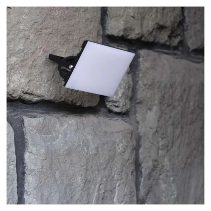 LED Prožektors TAMBO LED/50W/230V 4000K IP65