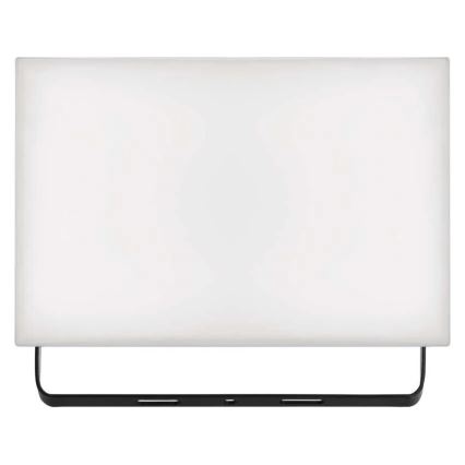 LED Prožektors TAMBO LED/50W/230V 4000K IP65