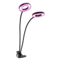 LED regulējama elastīga galda lampa ar skavu augu audzēšanai VITARO 2xLED/4W/230V melna