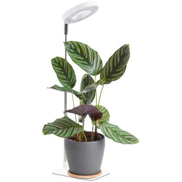 LED regulējama galda lampa augu audzēšanai VERDI LED/5W/5V 1300K CRI 95 balta