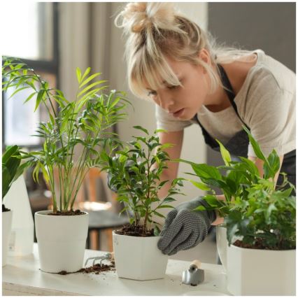 Regulējama LED galda lampa augu audzēšanai VERDI LED/5W/5V 1300K CRI 95 balta