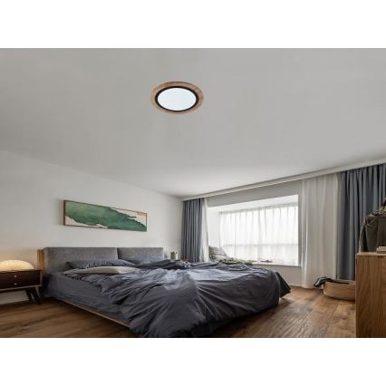 LED regulējama griestu lampa LED/25W/230V 3000-6500K + tālvadība