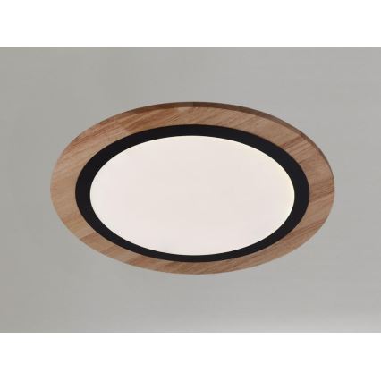 LED regulējama griestu lampa LED/25W/230V 3000-6500K + tālvadība