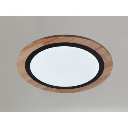 LED regulējama griestu lampa LED/25W/230V 3000-6500K + tālvadība